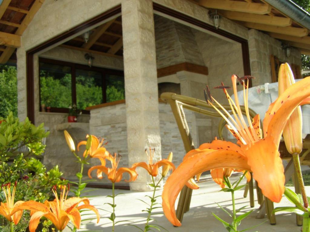 Djurovic Apartments Montenegro Kotor Rom bilde